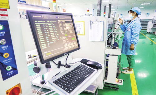 3年孵化497個項目 企業技術服務如何成為創新引擎